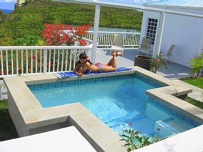 The plunge pool is one of the most amenities to put a back yard.